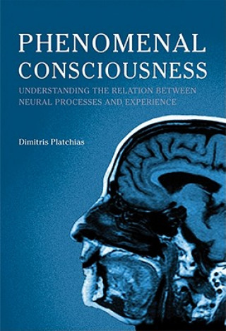 Kniha Phenomenal Consciousness: Understanding the Relation Between Experience and Neural Processes in the Brain Dimitris Platchias