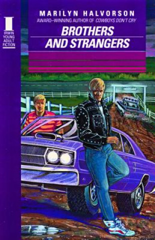 Boek Brothers & Strangers M. Halvorson