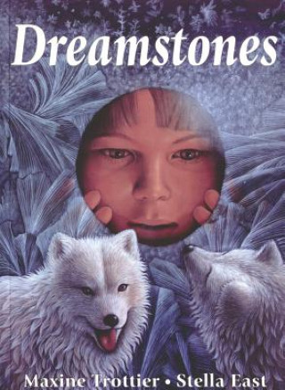 Kniha Dreamstones Maxine Trottier