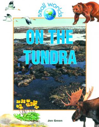 Kniha On the Tundra Jen Green
