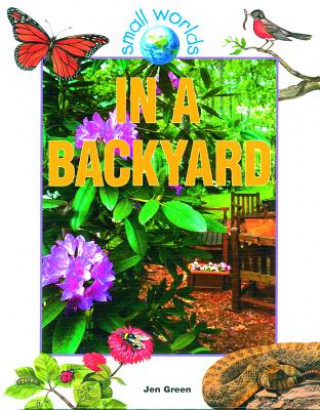 Könyv In a Backyard Jen Green