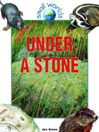 Buch Under a Stone Jen Green