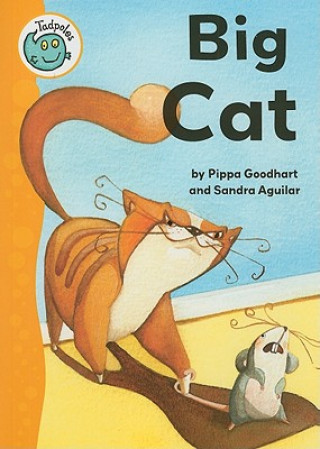 Könyv Big Cat Pippa Goodhart