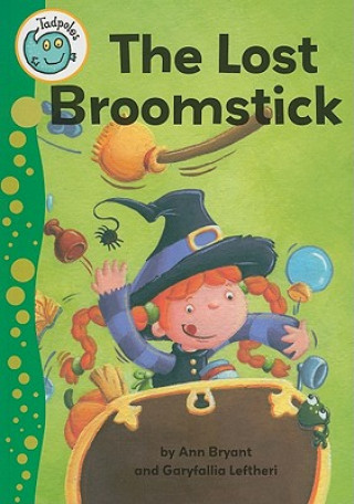 Kniha The Lost Broomstick Ann Bryant