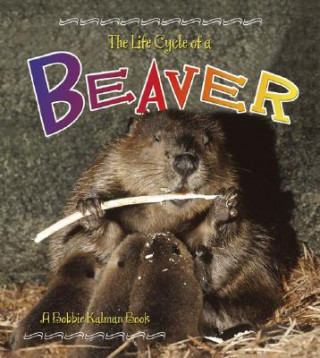 Carte Beaver Bobbie Kalman
