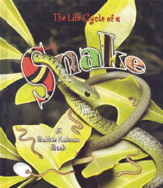 Kniha Snake John Crossingham