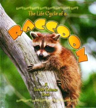 Книга The Life Cycle of a Raccoon Bobbie Kalman