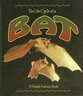 Livro Bat Rebecca Sjonger