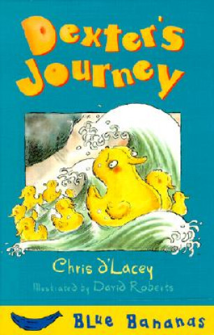 Carte Dexter's Journey Chris D'Lacey