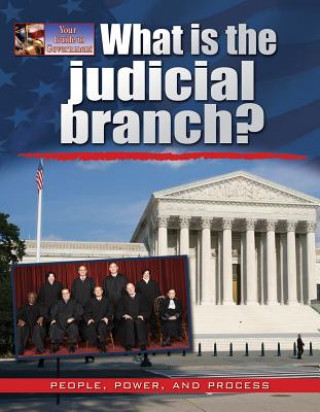 Knjiga What Is the Judicial Branch? Ellen Rodger