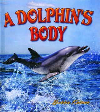 Książka A Dolphin's Body Bobbie Kalman