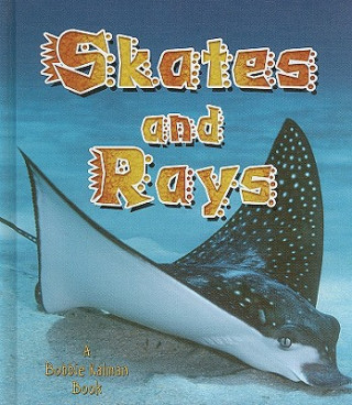 Book Skates and Rays Rebecca Sjonger