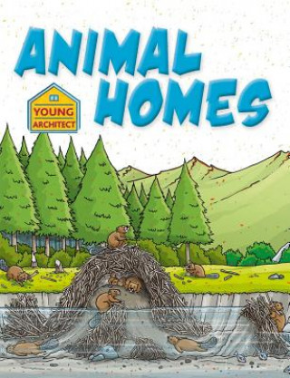 Buch Animal Homes Saranne Taylor