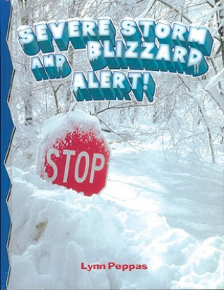 Könyv Severe Storm Blizzard Alert Lynn Peppas