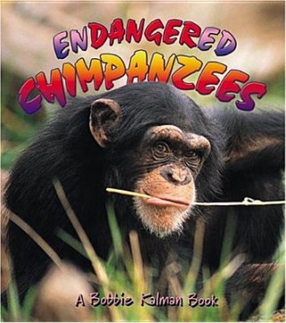 Carte Endangered Chimpanzees Bobbie Kalman
