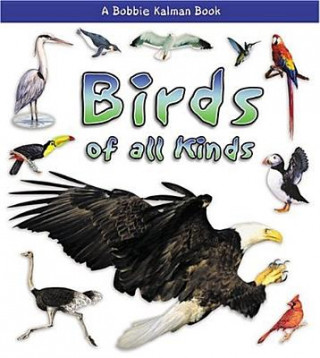 Książka Birds of All Kinds Rebecca Sjonger