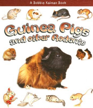 Livre Guinea Pigs and Other Rodents Bobbie Kalman