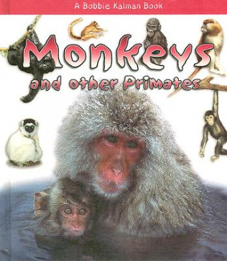Boek Monkeys and Other Primates Rebecca Sjonger