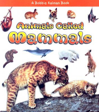 Kniha Animals Called Mammals Bobbie Kalman