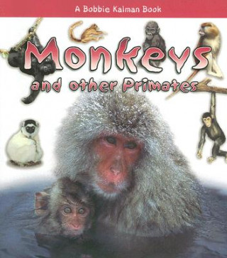 Kniha Monkeys and Other Primates Rebecca Sjonger