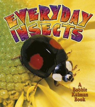Książka Everyday Insects Bobbie Kalman