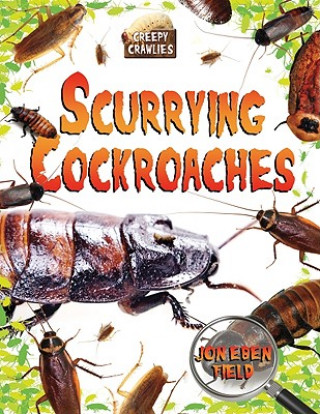 Buch Scurrying Cockroaches Jon Eben Field