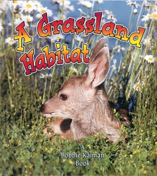 Carte A Grassland Habitat Kelley MacAulay