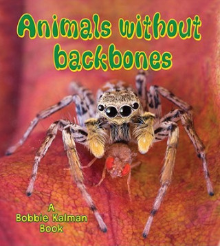 Book Animals Without Backbones Bobbie Kalman