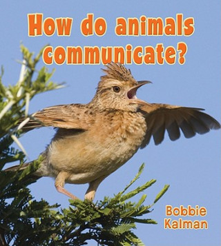 Книга How Do Animals Communicate? Bobbie Kalman
