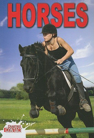 Könyv Horses Elizabeth J. Baldwin
