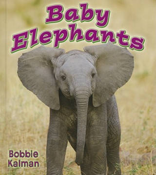 Kniha Baby Elephants Bobbie Kalman