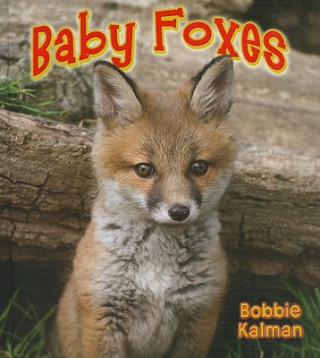 Kniha Baby Foxes Bobbie Kalman
