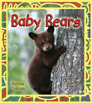 Carte Baby Bears Bobbie Kalman