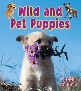 Carte Wild and Pet Puppies Bobbie Kalman