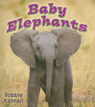 Könyv Baby Elephants Bobbie Kalman