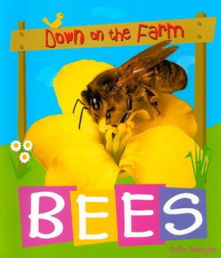 Knjiga Bees Sally Morgan