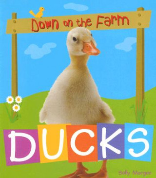 Kniha Ducks Sally Morgan