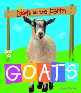 Kniha Goats Sally Morgan