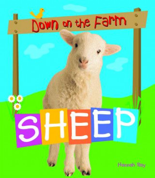 Book Sheep Hannah Ray