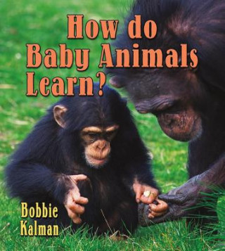 Kniha How Do Baby Animals Learn? Bobbie Kalman