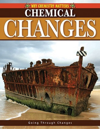 Libro Chemical Changes Lynnette Brent