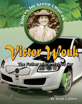 Kniha Victor Wouk: The Father of the Hybrid Car Sean Callery