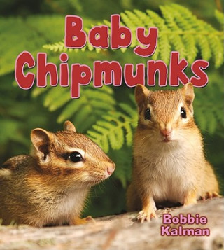 Knjiga Baby Chipmunks Bobbie Kalman