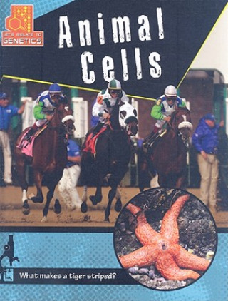 Könyv Animal Cells Penny Dowdy
