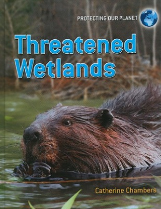 Könyv Threatened Wetlands Catherine Chambers