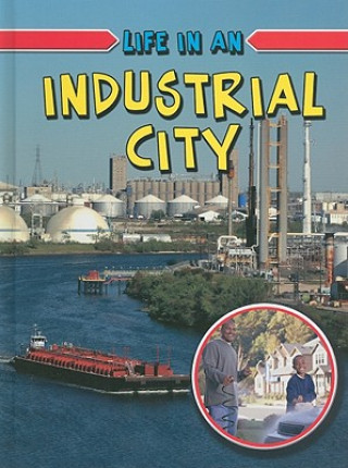 Buch Life in an Industrial City Lizann Flatt