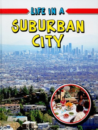 Knjiga Life in a Suburban City Lizann Flatt