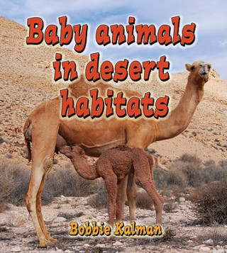 Carte Baby Animals in Desert Habitats Bobbie Kalman