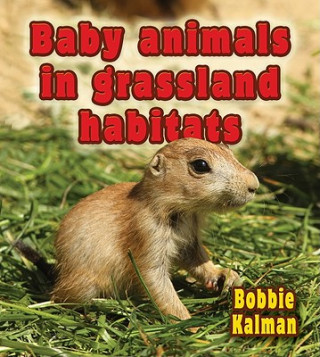 Książka Baby Animals in Grassland Habitats Bobbie Kalman