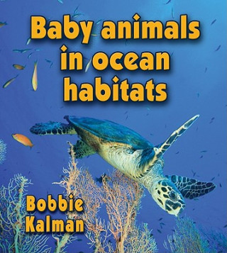 Kniha Baby Animals in Ocean Habitats Bobbie Kalman